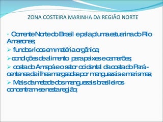 ZONA COSTEIRA MARINHA DA REGIÃO NORTE Corrente Norte do Brasil e pela pluma estuarina do Rio Amazonas; fundos ricos em matéria orgânica; condições de alimento  para peixes e camarões; costa do Amapá e o setor ocidental da costa do Pará - centenas de ilhas margeadas por manguezais e marismas; Mais da metade dos manguezais brasileiros concentram-se nesta região; 