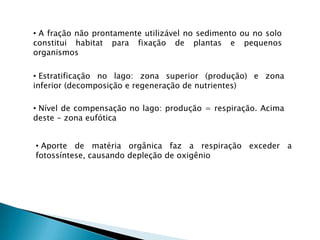 A fração não prontamente utilizável no sedimento ou no solo constitui habitat para fixação de plantas e pequenos organismos 