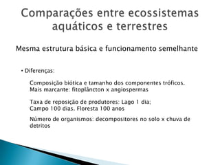  Estratificação no lago: zona superior (produção) e zona inferior (decomposição e regeneração de nutrientes)