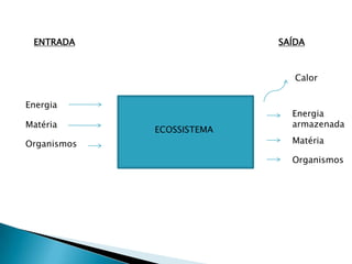 ENTRADASAÍDACalorEnergiaEnergiaarmazenadaMatériaECOSSISTEMAMatériaOrganismosOrganismos