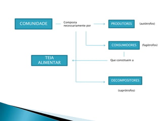 COMUNIDADEComposta necessariamente porPRODUTORES(autótrofos)CONSUMIDORES(fagótrofos)TEIA ALIMENTARQue constituem a DECOMPOSITORES(saprótrofos)