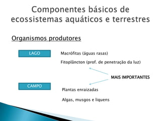 Componentes básicos de ecossistemas aquáticos e terrestresOrganismos produtoresMacrófitas (águas rasas)LAGOFitoplâncton (prof. de penetração da luz)MAIS IMPORTANTESCAMPOPlantas enraizadasAlgas, musgos e liquens