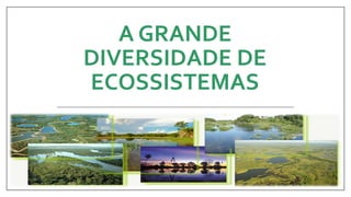 A GRANDE
DIVERSIDADE DE
ECOSSISTEMAS