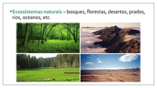•Ecossistemas naturais – bosques, florestas, desertos, prados,
rios, oceanos, etc.
 