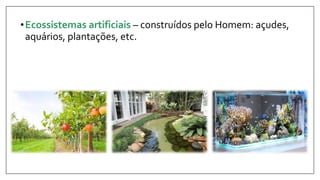 •Ecossistemas artificiais – construídos pelo Homem: açudes,
aquários, plantações, etc.
 