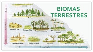 BIOMAS
TERRESTRES
 