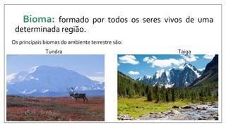 Bioma: formado por todos os seres vivos de uma
determinada região.
Os principais biomas do ambiente terrestre são:
Tundra Taiga
 