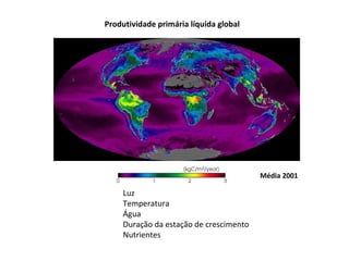 Produtividade primária líquida global




                                         Média 2001

     Luz
     Temperatura
     Água
     Duração da estação de crescimento
     Nutrientes
 