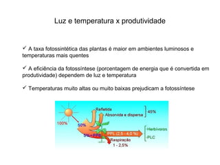 Luz e temperatura x produtividade


 A taxa fotossintética das plantas é maior em ambientes luminosos e
temperaturas mais quentes

 A eficiência da fotossíntese (porcentagem de energia que é convertida em
produtividade) dependem de luz e temperatura

 Temperaturas muito altas ou muito baixas prejudicam a fotossíntese
 