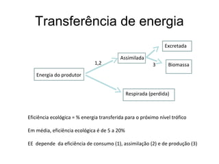 Transferência de energia
                                                               Excretada

                                          Assimilada
                              1,2                        3      Biomassa
   Energia do produtor


                                              Respirada (perdida)



Eficiência ecológica = % energia transferida para o próximo nível trófico

Em média, eficiência ecológica é de 5 a 20%

EE depende da eficiência de consumo (1), assimilação (2) e de produção (3)
 