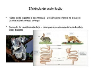 Eficiência de assimilação

 Razão entre ingestão e assimilação – presença de energia na dieta e o
  quanto assimila dessa energia

 Depende da qualidade da dieta – principalmente de material estrutural de
  difícil digestão
 