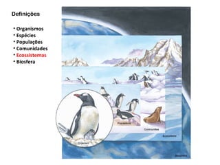 Definições

• Organismos
• Espécies
• Populações
• Comunidades
• Ecossistemas
• Biosfera
 