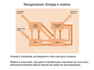 Recapitulando: Energia e matéria




Energia é transferida, se dissipando e não volta para o sistema

Matéria é consumida, mas parte é transformada e devolvida ao inicio como
elementos/nutrientes básicos através da cadeia de decompositores
 