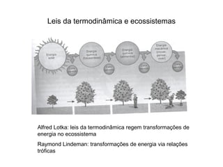 Leis da termodinâmica e ecossistemas




Alfred Lotka: leis da termodinâmica regem transformações de
energia no ecossistema
Raymond Lindeman: transformações de energia via relações
tróficas
 