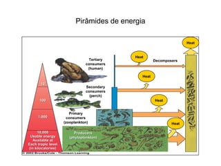 Pirâmides de energia

                                                                    Heat


                                           Heat
                                Tertiary             Decomposers
                               consumers
                                (human)

                                              Heat

       10
                               Secondary
                               consumers
                                 (perch)
      100                                            Heat


                       Primary
     1,000            consumers
                    (zooplankton)                            Heat

     10,000               Producers
 Usable energy         (phytoplankton)
   Available at
Each tropic level
(in kilocalories)
 