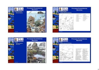 10
Abril/2007
PrincipaisPrincipais EcossistemasEcossistemas
MarinhosMarinhos
RecifesRecifes dede CoraisCorais
•• RecifesRecifes NaturaisNaturais
Abril/2007
PrincipaisPrincipais EcossistemasEcossistemas
MarinhosMarinhos
RecifesRecifes dede CoraisCorais
•• RecifesRecifes NaturaisNaturais RochososRochosos
Abril/2007
PrincipaisPrincipais EcossistemasEcossistemas
MarinhosMarinhos
RecifesRecifes
•• RecifesRecifes NaturaisNaturais
RochososRochosos
Abril/2007
PrincipaisPrincipais EcossistemasEcossistemas
MarinhosMarinhos
RecifesRecifes
•• RecifesRecifes NaturaisNaturais RochososRochosos
 