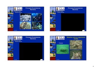11
Abril/2007
PrincipaisPrincipais EcossistemasEcossistemas
MarinhosMarinhos
RecifesRecifes dede CoraisCorais
•• RecifesRecifes artificiaisartificiais
Abril/2007
PrincipaisPrincipais EcossistemasEcossistemas
MarinhosMarinhos
RecifesRecifes dede CoraisCorais
•• RecifesRecifes artificiaisartificiais
Abril/2007
PrincipaisPrincipais EcossistemasEcossistemas
MarinhosMarinhos
RecifesRecifes dede CoraisCorais
•• RecifesRecifes artificiaisartificiais
Abril/2007
RelaRelaçções entre os organismosões entre os organismos
recifaisrecifais
•• PredaPredaççãoão
 