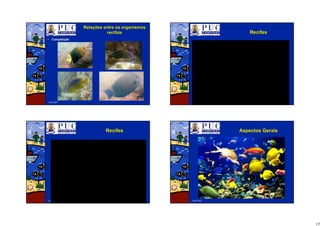 13
Abril/2007
RelaRelaçções entre os organismosões entre os organismos
recifaisrecifais
•• CompetiCompetiççãoão
Abril/2007
RecifesRecifes
Abril/2007
RecifesRecifes
Abril/2007
Aspectos GeraisAspectos Gerais
 