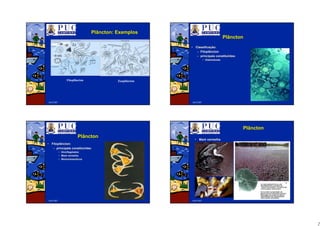 2
Abril/2007
PlânctonPlâncton:: ExemplosExemplos
Fitoplâncton Zooplâncton
Abril/2007
PlânctonPlâncton
•• ClassificaClassificaçção:ão:
–– FitoplânctonFitoplâncton
–– principais constituintes:principais constituintes:
•• DiatomDiatomááceasceas
Abril/2007
PlânctonPlâncton
•• Fitoplâncton:Fitoplâncton:
–– principais constituintes:principais constituintes:
•• DinoflageladosDinoflagelados
•• MarMaréé vermelhavermelha
•• BioluminescênciaBioluminescência
Abril/2007
PlânctonPlâncton
•• MarMaréé vermelhavermelha
 
