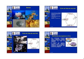 4
Abril/2007
BentosBentos
Abril/2007
CicloCiclo de Vida dede Vida de umauma lulalula
•• AA lulalula passapassa porpor estestáágiosgios
bênticos,bênticos, planctônicosplanctônicos ee
nectônicosnectônicos
•• LulasLulas sãosão consideradasconsideradas
meroplânctonmeroplâncton
((opostooposto == holoplânctonholoplâncton))
Abril/2007
CicloCiclo de Vida dede Vida de umauma lulalula
Abril/2007
DistribuiDistribuiççãoão dasdas espespééciescies nana TerraTerra
•• OsOs continentescontinentes possuempossuem
maismais espespééciescies porqueporque
possuempossuem maiormaior variabilidadevariabilidade
ambientalambiental dodo queque osos
oceanosoceanos
•• AA maioriamaioria dasdas espespééciescies
marinhasmarinhas sãosão bênticasbênticas
devidodevido àà maiormaior variabilidadevariabilidade
ambientalambiental comparadacomparada aosaos
ambientesambientes pelpeláágicosgicos
 