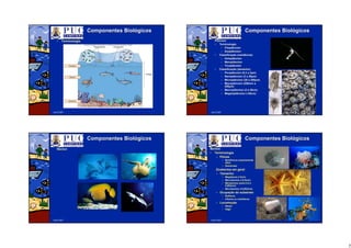 5
Abril/2007
ComponentesComponentes BiolBiolóógicosgicos
•• TerminologiaTerminologia
Abril/2007
ComponentesComponentes BiolBiolóógicosgicos
PlânctonPlâncton
•• TerminologiaTerminologia
–– FitoplânctonFitoplâncton
–– Zooplâncton:Zooplâncton:
•• ClassificaClassificaçção (residência):ão (residência):
–– HoloplânctonHoloplâncton
–– MeroplânctonMeroplâncton
–– TicoplânctonTicoplâncton
•• ClassificaClassificaççãoão ((tamanhotamanho):):
–– PicoplânctonPicoplâncton (0,2 a 2(0,2 a 2µµm)m)
–– NanoplânctonNanoplâncton (2 a 20(2 a 20µµm)m)
–– MicroplânctonMicroplâncton (20 a 200(20 a 200µµm)m)
–– MesoplânctonMesoplâncton (200mm a(200mm a
200200µµm)m)
–– MacroplânctonMacroplâncton (2 a 20cm)(2 a 20cm)
–– MegaloplânctonMegaloplâncton (>20cm)(>20cm)
Abril/2007
ComponentesComponentes BiolBiolóógicosgicos
NNééctoncton
Abril/2007
ComponentesComponentes BiolBiolóógicosgicos
BentosBentos
•• TerminologiaTerminologia
–– PeixesPeixes
•• BentônicosBentônicos propriamentepropriamente
ditosditos
•• DemersaisDemersais
ZoobentosZoobentos emem geralgeral
–– TamanhoTamanho::
•• MegafaunaMegafauna (>2cm)(>2cm)
•• MacrobentosMacrobentos (>0,5mm)(>0,5mm)
•• MeiobentosMeiobentos ((entreentre 0,5 e0,5 e
0,062mm)0,062mm)
•• MicrobentosMicrobentos (<0,062mm)(<0,062mm)
–– OcupaOcupaççãoão dodo substratosubstrato
•• EpifaunaEpifauna
•• InfaunaInfauna ouou endofaunaendofauna
–– LocomoLocomoççãoão
•• SSééssilssil
•• VVáágilgil
 