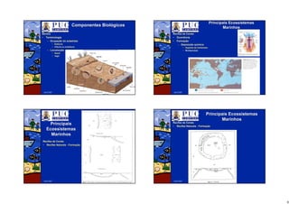 6
Abril/2007
ComponentesComponentes BiolBiolóógicosgicos
BentosBentos
•• TerminologiaTerminologia
–– OcupaOcupaççãoão dodo substratosubstrato
•• EpifaunaEpifauna
•• InfaunaInfauna ouou endofaunaendofauna
–– LocomoLocomoççãoão
•• SSééssilssil
•• VVáágilgil
Abril/2007
PrincipaisPrincipais EcossistemasEcossistemas
MarinhosMarinhos
RecifesRecifes dede CoraisCorais
•• OcorrênciaOcorrência
•• FormaFormaççãoão
–– DeposiDeposiççãoão ququíímicamica
•• DepDepóósitosito dede CarbonatosCarbonatos
•• BiodeposiBiodeposiççãoão
Abril/2007
PrincipaisPrincipais
EcossistemasEcossistemas
MarinhosMarinhos
RecifesRecifes dede CoraisCorais
•• RecifesRecifes NaturaisNaturais -- FormaFormaççãoão
Abril/2007
PrincipaisPrincipais EcossistemasEcossistemas
MarinhosMarinhos
RecifesRecifes dede CoraisCorais
•• RecifesRecifes NaturaisNaturais -- FormaFormaççãoão
 