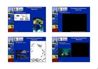 9
Abril/2007
PrincipaisPrincipais EcossistemasEcossistemas
MarinhosMarinhos
RecifesRecifes dede CoraisCorais
•• EstratEstratéégiasgias reprodutivasreprodutivas
Abril/2007
PrincipaisPrincipais EcossistemasEcossistemas
MarinhosMarinhos
RecifesRecifes dede CoraisCorais
•• EstratEstratéégiasgias reprodutivasreprodutivas
Abril/2007
PrincipaisPrincipais EcossistemasEcossistemas
MarinhosMarinhos
RecifesRecifes dede CoraisCorais
•• EstratEstratéégiasgias reprodutivasreprodutivas
Abril/2007
PrincipaisPrincipais EcossistemasEcossistemas
MarinhosMarinhos
RecifesRecifes dede CoraisCorais
•• EstratEstratéégiasgias reprodutivasreprodutivas
 