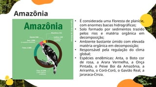 Amazônia
• É considerada uma Floresta de planície,
com enormes bacias hidrográficas;
• Solo formado por sedimentos trazido
pelos rios e matéria orgânica em
decomposição;
• Ambiente bastante úmido com elevada
matéria orgânica em decomposição;
• Responsável pela regulação do clima
global;
• Espécies endêmicas: Anta, o Boto cor
de rosa, a Arara Vermelha, a Onça
Pintada, o Peixe Boi da Amazônia, a
Ariranha, o Coró-Coró, o Gavião Real, a
Jararaca-Cinza.
 