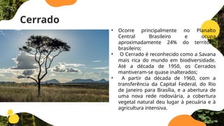 Cerrado
• Ocorre principalmente no Planalto
Central Brasileiro e ocupa
aproximadamente 24% do território
brasileiro;
• O Cerrado é reconhecido como a Savana
mais rica do mundo em biodiversidade.
Até a década de 1950, os Cerrados
mantiveram-se quase inalterados;
• A partir da década de 1960, com a
transferência da Capital Federal, do Rio
de Janeiro para Brasília, e a abertura de
uma nova rede rodoviária, a cobertura
vegetal natural deu lugar à pecuária e à
agricultura intensiva.
 