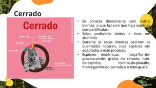 Cerrado
• Se conecta diretamente com outros
biomas, o que faz com que haja espécies
compartilhadas;
• Solos profundos ácidos e ricos em
alumínio;
• Durante as secas intensas ocorrem as
queimadas naturais, suas espécies são
adaptadas a este processo;
• Espécies endêmicas: beija-flor-de-
gravata-verde, gralha do cerrado, rato-
de-espinho, rolinha-do-planalto,
morceguinho-do-cerrado e o lobo-guará.
 