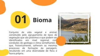 01 Bioma
Conjunto de vida vegetal e animal,
constituído pelo agrupamento de tipos de
vegetação que são próximos e que podem ser
identificados em nível regional, com
condições de geologia e clima semelhantes e
que, historicamente, sofreram os mesmos
processos de formação da paisagem,
resultando em uma diversidade de flora e
fauna própria.
 