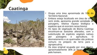 Caatinga
• Ocupa uma área aproximada de 10% do
Território Nacional;
• Embora esteja localizado em área de clima
semi árido, apresenta grande variedade de
paisagens, relativa riqueza biológica e
espécies que só ocorrem nesse bioma;
• Os tipos de vegetação do Bioma Caatinga
encontram-se bastante alterados, com a
substituição de espécies vegetais nativas
por pastagens e agricultura. O
desmatamento e as queimadas são práticas
comuns no preparo da terra para a
agropecuária;
• Da área original ocupada por esse Bioma,
aproximadamente 36% já foram alterados
pelo homem.
 