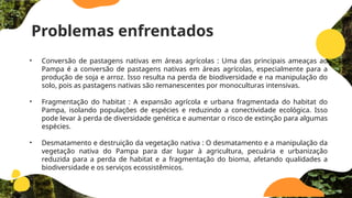 Problemas enfrentados
• Conversão de pastagens nativas em áreas agrícolas : Uma das principais ameaças ao
Pampa é a conversão de pastagens nativas em áreas agrícolas, especialmente para a
produção de soja e arroz. Isso resulta na perda de biodiversidade e na manipulação do
solo, pois as pastagens nativas são remanescentes por monoculturas intensivas.
• Fragmentação do habitat : A expansão agrícola e urbana fragmentada do habitat do
Pampa, isolando populações de espécies e reduzindo a conectividade ecológica. Isso
pode levar à perda de diversidade genética e aumentar o risco de extinção para algumas
espécies.
• Desmatamento e destruição da vegetação nativa : O desmatamento e a manipulação da
vegetação nativa do Pampa para dar lugar à agricultura, pecuária e urbanização
reduzida para a perda de habitat e a fragmentação do bioma, afetando qualidades a
biodiversidade e os serviços ecossistêmicos.
 