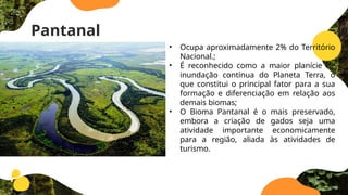 Pantanal
• Ocupa aproximadamente 2% do Território
Nacional.;
• É reconhecido como a maior planície de
inundação contínua do Planeta Terra, o
que constitui o principal fator para a sua
formação e diferenciação em relação aos
demais biomas;
• O Bioma Pantanal é o mais preservado,
embora a criação de gados seja uma
atividade importante economicamente
para a região, aliada às atividades de
turismo.
 