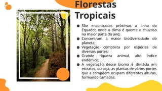 ● São encontradas próximas a linha do
Equador, onde o clima é quente e chuvoso
na maior parte do ano;
● Concentram a maior biodiversidade do
planeta;
● Vegetação composta por espécies de
diversos portes;
● Grande riqueza animal, alto índice
endêmico;
● A vegetação desse bioma é dividida em
estratos, ou seja, as plantas de vários portes
que a compõem ocupam diferentes alturas,
formando camadas.
Florestas
Tropicais
 