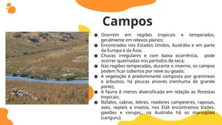 ● Ocorrem em regiões tropicais e temperadas,
geralmente em relevos planos;
● Encontrados nos Estados Unidos, Austrália e em parte
da Europa e da Ásia;
● Chuvas irregulares e com baixa ocorrência, pode
ocorrer queimadas nos períodos de seca;
● Nas regiões temperadas, durante o inverno, os campos
podem ficar cobertos por neve ou geada;
● A vegetação é predominante composta por gramíneas
e arbustos, há poucas arvores (nenhuma de grande
porte);
● A fauna é menos diversificada em relação as florestas
tropicais;
● Búfalos, cabras, lebres, roedores campestres, raposas,
aves, repteis e insetos, nos EUA encontramos bisões,
gaviões e corujas,; na Australia há os marsupiais
(canguru).
Campos
 