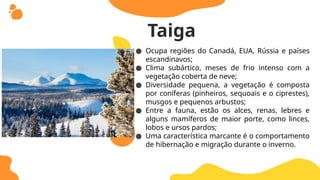 ● Ocupa regiões do Canadá, EUA, Rússia e países
escandinavos;
● Clima subártico, meses de frio intenso com a
vegetação coberta de neve;
● Diversidade pequena, a vegetação é composta
por coníferas (pinheiros, sequoais e o ciprestes),
musgos e pequenos arbustos;
● Entre a fauna, estão os alces, renas, lebres e
alguns mamíferos de maior porte, como linces,
lobos e ursos pardos;
● Uma característica marcante é o comportamento
de hibernação e migração durante o inverno.
Taiga
 