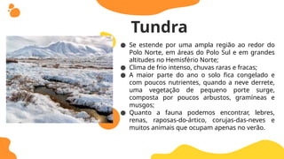 ● Se estende por uma ampla região ao redor do
Polo Norte, em áreas do Polo Sul e em grandes
altitudes no Hemisfério Norte;
● Clima de frio intenso, chuvas raras e fracas;
● A maior parte do ano o solo fica congelado e
com poucos nutrientes, quando a neve derrete,
uma vegetação de pequeno porte surge,
composta por poucos arbustos, gramíneas e
musgos;
● Quanto a fauna podemos encontrar, lebres,
renas, raposas-do-ártico, corujas-das-neves e
muitos animais que ocupam apenas no verão.
Tundra
 