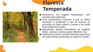● Encontra-se em regiões temperadas, com
estações bem definidas;
● Uma característica marcante é que as folhas
começam a envelhecer e cair no outono, na
primavera as folha voltam a crescer e no verão
ficam totalmente verde;
● Apresentam grande abundância de espécies
(lobos, raposas, esquilos, gatos silvestres, etc.)
● Podemos encontrar animais bastante específicos
em cada floresta temperada ao redor do mundo.
Floresta
Temperada
 