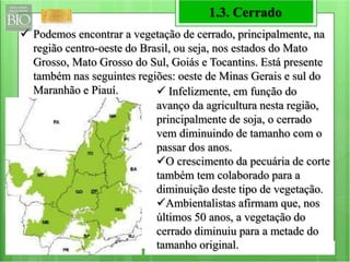 1.3. Cerrado 
 Podemos encontrar a vegetação de cerrado, principalmente, na 
região centro-oeste do Brasil, ou seja, nos estados do Mato 
Grosso, Mato Grosso do Sul, Goiás e Tocantins. Está presente 
também nas seguintes regiões: oeste de Minas Gerais e sul do 
Maranhão e Piauí.  Infelizmente, em função do 
avanço da agricultura nesta região, 
principalmente de soja, o cerrado 
vem diminuindo de tamanho com o 
passar dos anos. 
O crescimento da pecuária de corte 
também tem colaborado para a 
diminuição deste tipo de vegetação. 
Ambientalistas afirmam que, nos 
últimos 50 anos, a vegetação do 
cerrado diminuiu para a metade do 
tamanho original. 
 