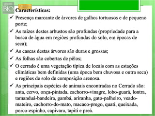 Características: 
 Presença marcante de árvores de galhos tortuosos e de pequeno 
porte; 
 As raízes destes arbustos são profundas (propriedade para a 
busca de água em regiões profundas do solo, em épocas de 
seca); 
 As cascas destas árvores são duras e grossas; 
 As folhas são cobertas de pêlos; 
 O cerrado é uma vegetação típica de locais com as estações 
climáticas bem definidas (uma época bem chuvosa e outra seca) 
e regiões de solo de composição arenosa. 
 As principais espécies de animais encontradas no Cerrado são: 
anta, cervo, onça-pintada, cachorro-vinagre, lobo-guará, lontra, 
tamanduá-bandeira, gambá, ariranha, gato-palheiro, veado-mateiro, 
cachorro-do-mato, macaco-prego, quati, queixada, 
porco-espinho, capivara, tapiti e preá. 
 