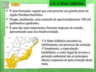1.4. A Mata Atlântica 
 É uma formação vegetal que está presente em grande parte da 
região litorânea brasileira. 
 Ocupa, atualmente, uma extensão de aproximadamente 100 mil 
quilômetros quadrados. 
 É uma das mais importantes florestas tropicais do mundo, 
apresentando uma rica biodiversidade. 
A Mata Atlântica encontra-se, 
infelizmente, em processo de extinção. 
Atualmente, a especulação 
imobiliária, o corte ilegal de árvores a 
poluição ambiental são os principais 
fatores responsáveis pela extinção desta 
mata. 
 