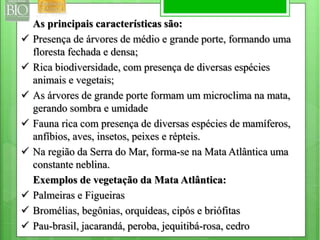 As principais características são: 
 Presença de árvores de médio e grande porte, formando uma 
floresta fechada e densa; 
 Rica biodiversidade, com presença de diversas espécies 
animais e vegetais; 
 As árvores de grande porte formam um microclima na mata, 
gerando sombra e umidade 
 Fauna rica com presença de diversas espécies de mamíferos, 
anfíbios, aves, insetos, peixes e répteis. 
 Na região da Serra do Mar, forma-se na Mata Atlântica uma 
constante neblina. 
Exemplos de vegetação da Mata Atlântica: 
 Palmeiras e Figueiras 
 Bromélias, begônias, orquídeas, cipós e briófitas 
 Pau-brasil, jacarandá, peroba, jequitibá-rosa, cedro 
 