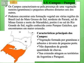 1.5. Campos – Pampas 
 Os Campos caracterizam-se pela presença de uma vegetação 
rasteira (gramíneas) e pequenos arbustos distantes uns dos 
outros. 
 Podemos encontrar esta formação vegetal em várias regiões do 
Brasil (sul do Mato Grosso do Sul, nordeste do Paraná, sul de 
Minas Gerais e norte do Maranhão), porém é no sul do Rio 
Grande do Sul, região conhecida como Pampas Gaúchos, que 
encontramos em maior extensão. 
Características principais dos 
Campos: 
Vegetação formada por gramíneas e 
arbustos e árvores de pequeno porte. 
Não dependem de grande 
quantidade de chuvas. 
Sua extensão atingem os territórios 
da Argentina e Paraguai. 
 