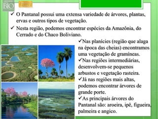  O Pantanal possui uma extensa variedade de árvores, plantas, 
ervas e outros tipos de vegetação. 
 Nesta região, podemos encontrar espécies da Amazônia, do 
Cerrado e do Chaco Boliviano. 
Nas planícies (região que alaga 
na época das cheias) encontramos 
uma vegetação de gramíneas. 
Nas regiões intermediárias, 
desenvolvem-se pequenos 
arbustos e vegetação rasteira. 
Já nas regiões mais altas, 
podemos encontrar árvores de 
grande porte. 
As principais árvores do 
Pantanal são: aroeira, ipê, figueira, 
palmeira e angico. 
 