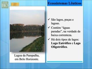  São lagos, poças e 
lagoas. 
 Contém “águas 
paradas”, na verdade de 
baixa correnteza. 
 Há dois tipos de lagos: 
Lago Eutrófico e Lago 
Oligotrófico. 
Lagoa da Pampulha, 
em Belo Horizonte. 
Ecossistemas Lênticos 
 