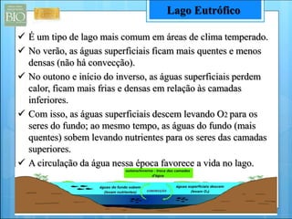 Lago Eutrófico 
 É um tipo de lago mais comum em áreas de clima temperado. 
 No verão, as águas superficiais ficam mais quentes e menos 
densas (não há convecção). 
 No outono e início do inverso, as águas superficiais perdem 
calor, ficam mais frias e densas em relação às camadas 
inferiores. 
 Com isso, as águas superficiais descem levando O2 para os 
seres do fundo; ao mesmo tempo, as águas do fundo (mais 
quentes) sobem levando nutrientes para os seres das camadas 
superiores. 
 A circulação da água nessa época favorece a vida no lago. 
 