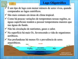 É um tipo de lago com menor número de seres vivos, quando 
comparados ao lagos eutróficos. 
 São mais comuns em áreas de clima tropical. 
 Como há poucas variações de temperatura nessas regiões, as 
águas superficiais tendem a possuir temperaturas maiores que 
nas águas do fundo. 
 Não há circulação de nutrientes, gases e calor. 
 Na superfície há mais O2, favorecendo a vida de organismos 
aeróbicos. 
 Nas profundezas há menos O2 e prevalência de seres 
anaeróbicos. 
Lago Oligotrófico 
 