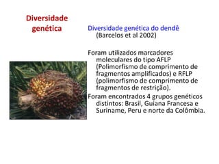 Diversidade
genética Diversidade genética do dendê
(Barcelos et al 2002)
Foram utilizados marcadores
moleculares do tipo AFLP
(Polimorfismo de comprimento de
fragmentos amplificados) e RFLP
(polimorfismo de comprimento de
fragmentos de restrição).
Foram encontrados 4 grupos genéticos
distintos: Brasil, Guiana Francesa e
Suriname, Peru e norte da Colômbia.
 