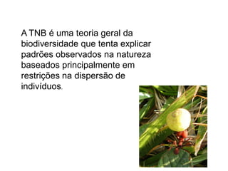 A TNB é uma teoria geral da
biodiversidade que tenta explicar
padrões observados na natureza
baseados principalmente em
restrições na dispersão de
indivíduos.
 